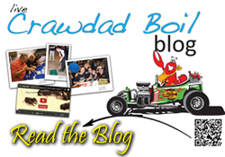 Read the Blog